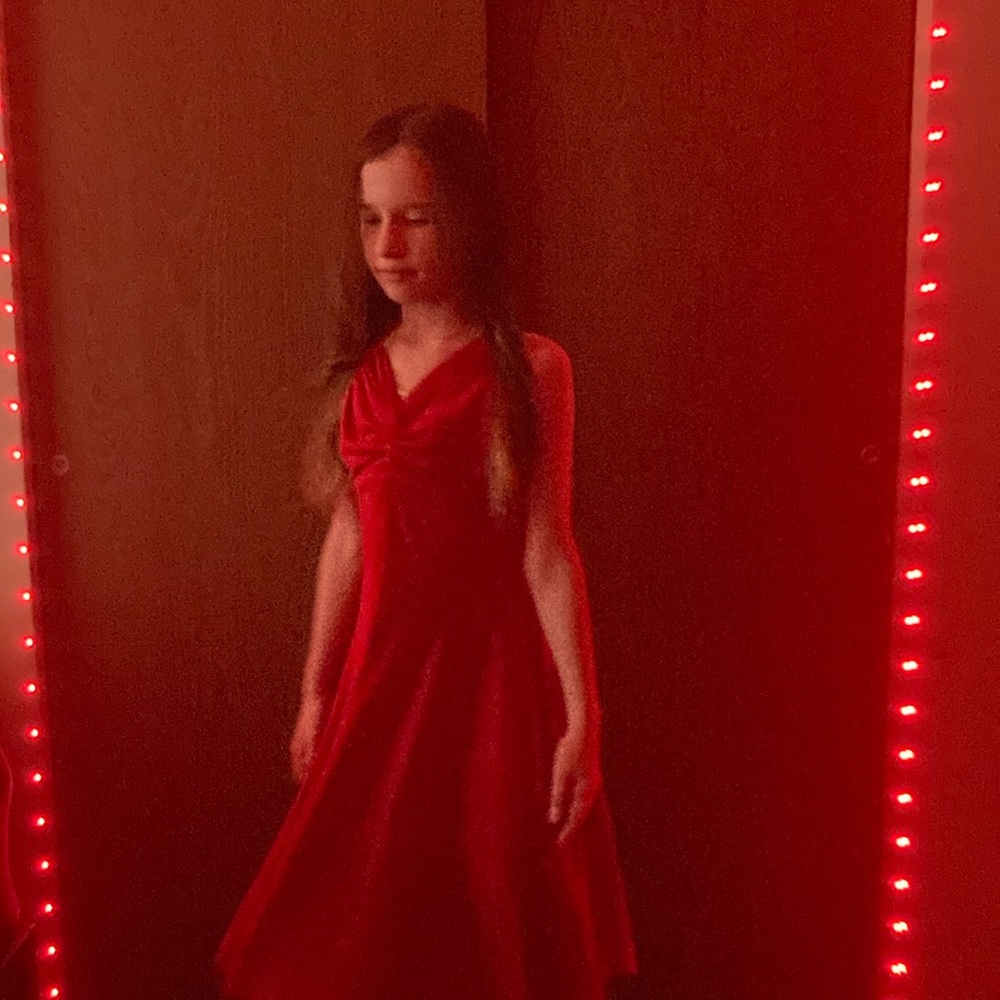 Red Velvet Dress - Picture 4 of 5